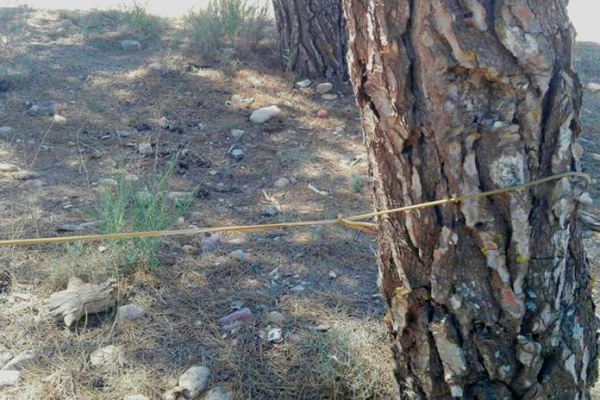 Alerta en Zaragoza: trampas para ciclistas en la zona de los Pinares de Venecia