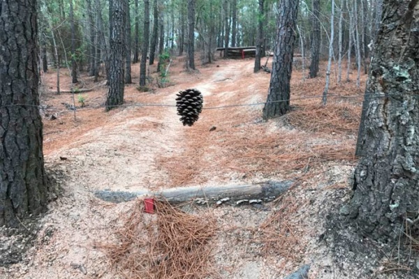 Alerta en Cataluña: trampas para ciclistas en los senderos de Santa Coloma de Farners (Girona)