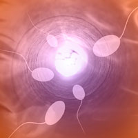 La vasectomía y el ejercicio físico: lo que hay que saber