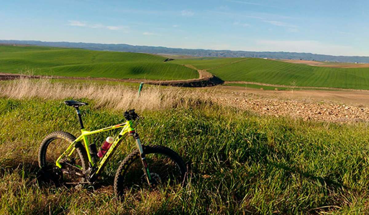 En TodoMountainBike: La foto del día en TodoMountainBike: 'Campiña Cordobesa'