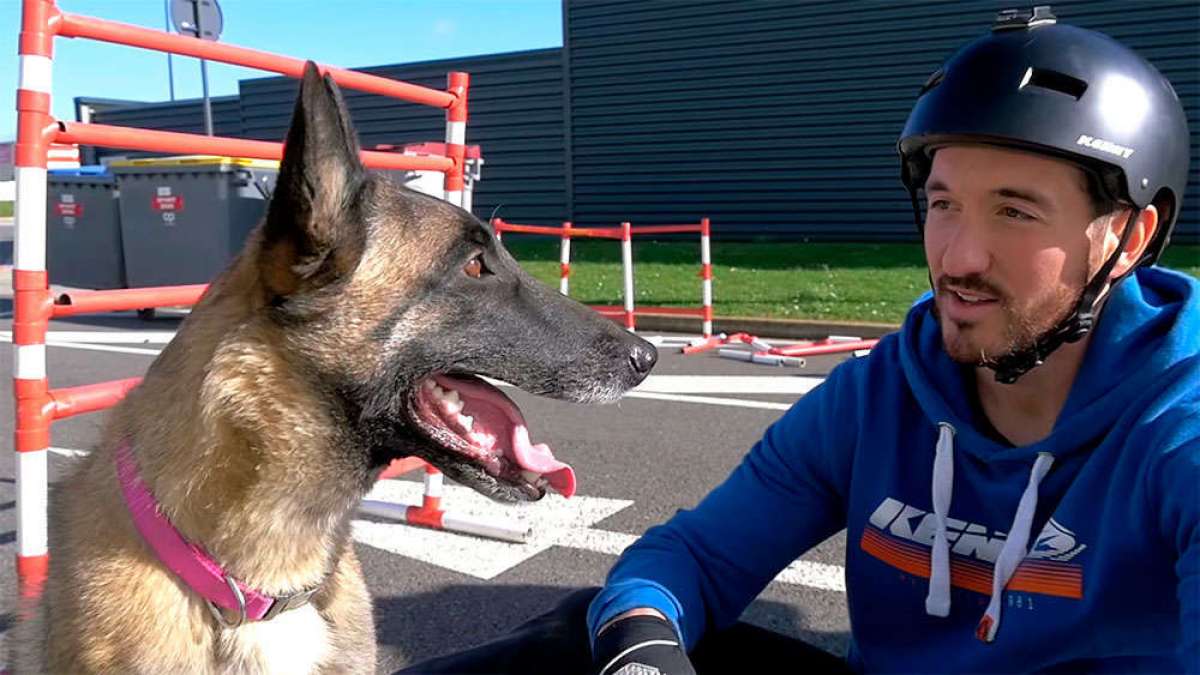 En TodoMountainBike: ¿Dos ruedas o cuatro patas? Aurélien Fontenoy midiendo sus habilidades contra un perro adiestrado