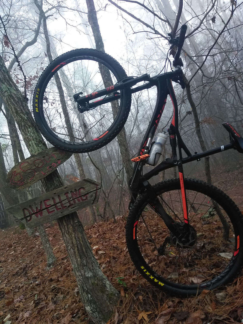 En TodoMountainBike: La foto del día en TodoMountainBike: 'The Blankets Creek Trail'