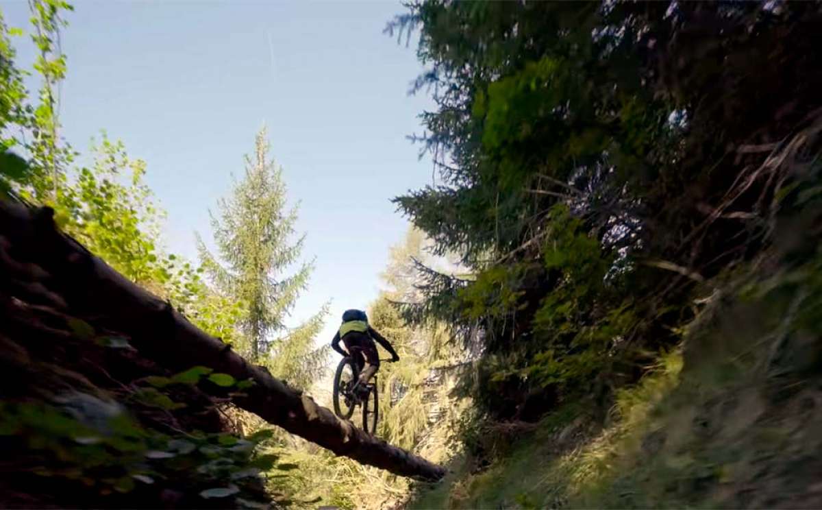 En TodoMountainBike: Lección de entomología en la región suiza de Verbier con Ludo May y su BMC Speedfox