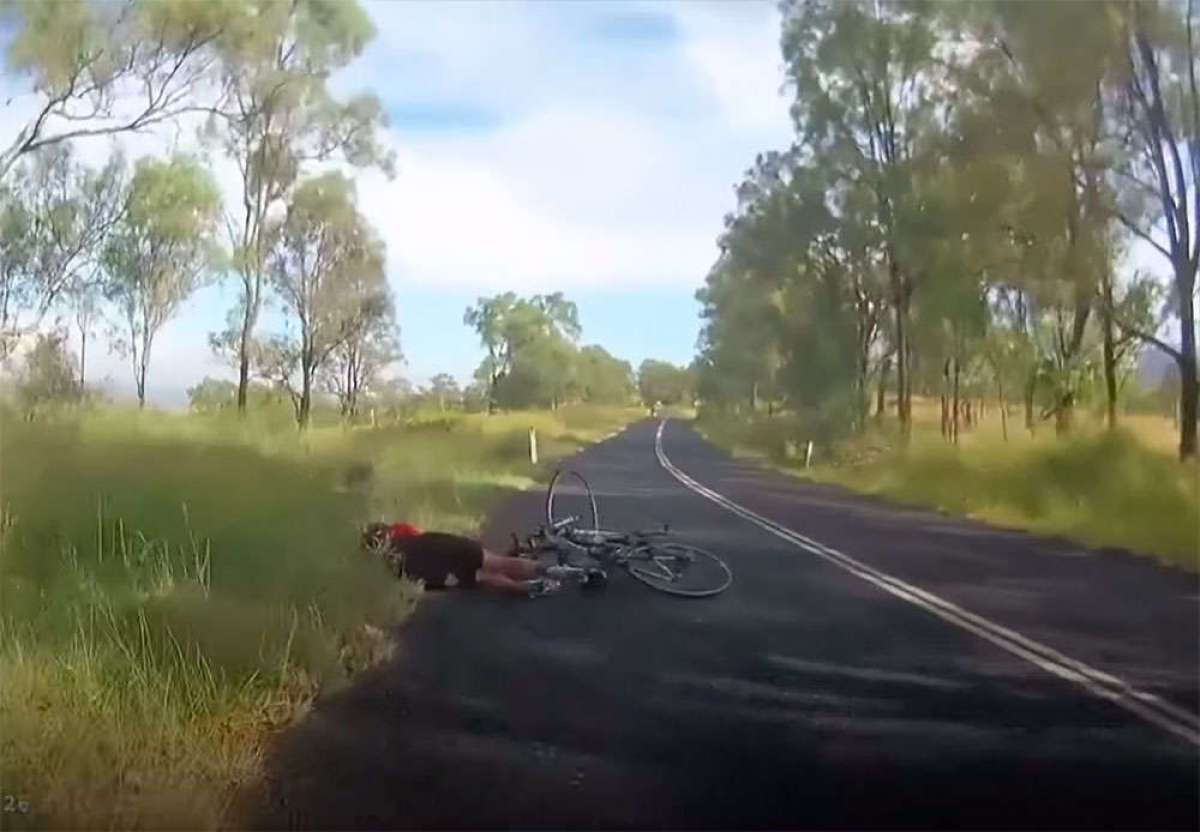 En TodoMountainBike: Brutal atropello de una ciclista por parte de un canguro en Queensland (Australia)