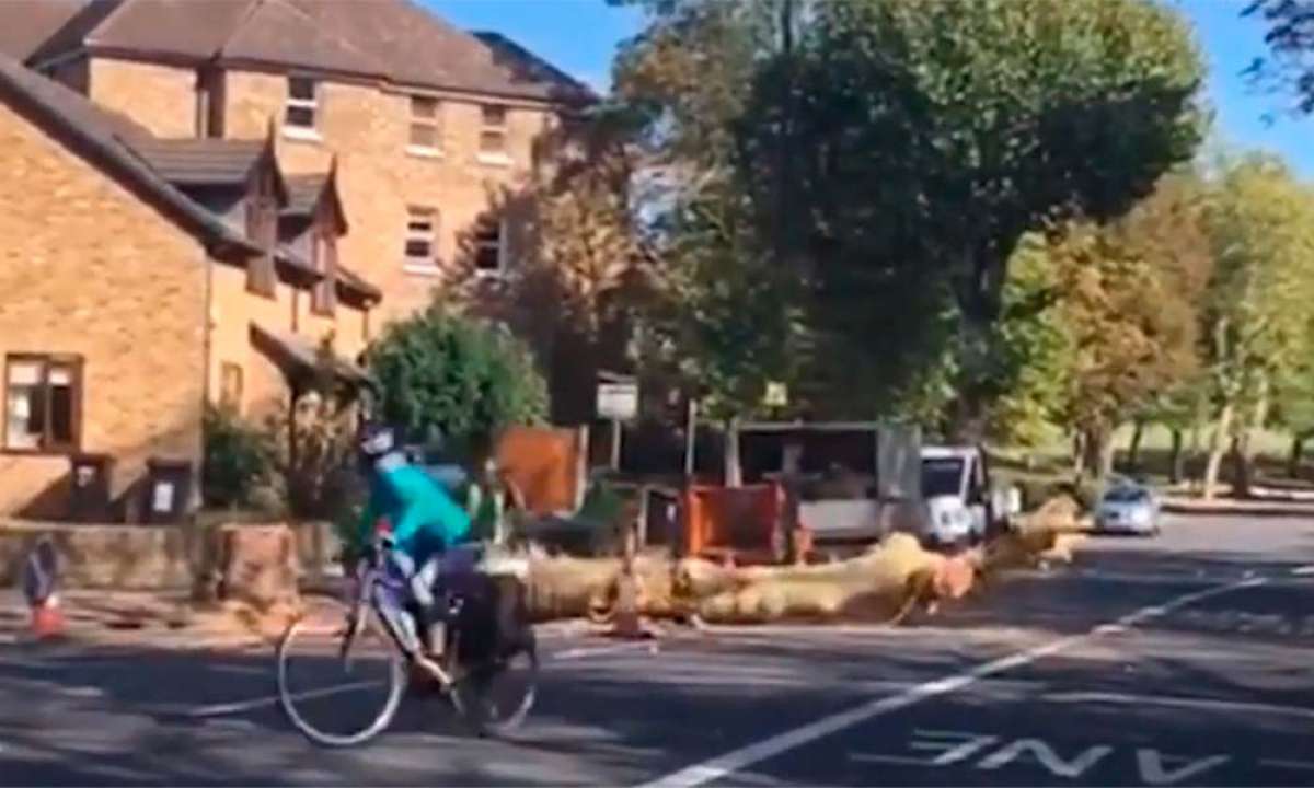 En TodoMountainBike: Ciclista salvándose por los pelos de morir aplastado por un árbol