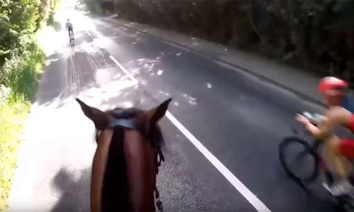 En TodoMountainBike: ¿Son los ciclistas los usuarios más vulnerables de la carretera? En este vídeo son los más imprudentes