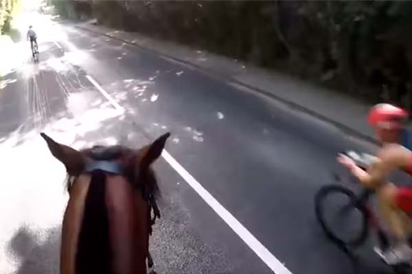 ¿Son los ciclistas los usuarios más vulnerables de la carretera? En este vídeo son los más imprudentes