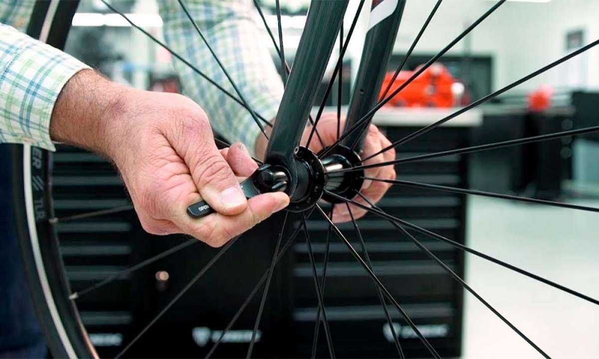 Adaptado Similar estropeado Cómo montar y desmontar las ruedas de una bicicleta? Trek Bikes lo explica