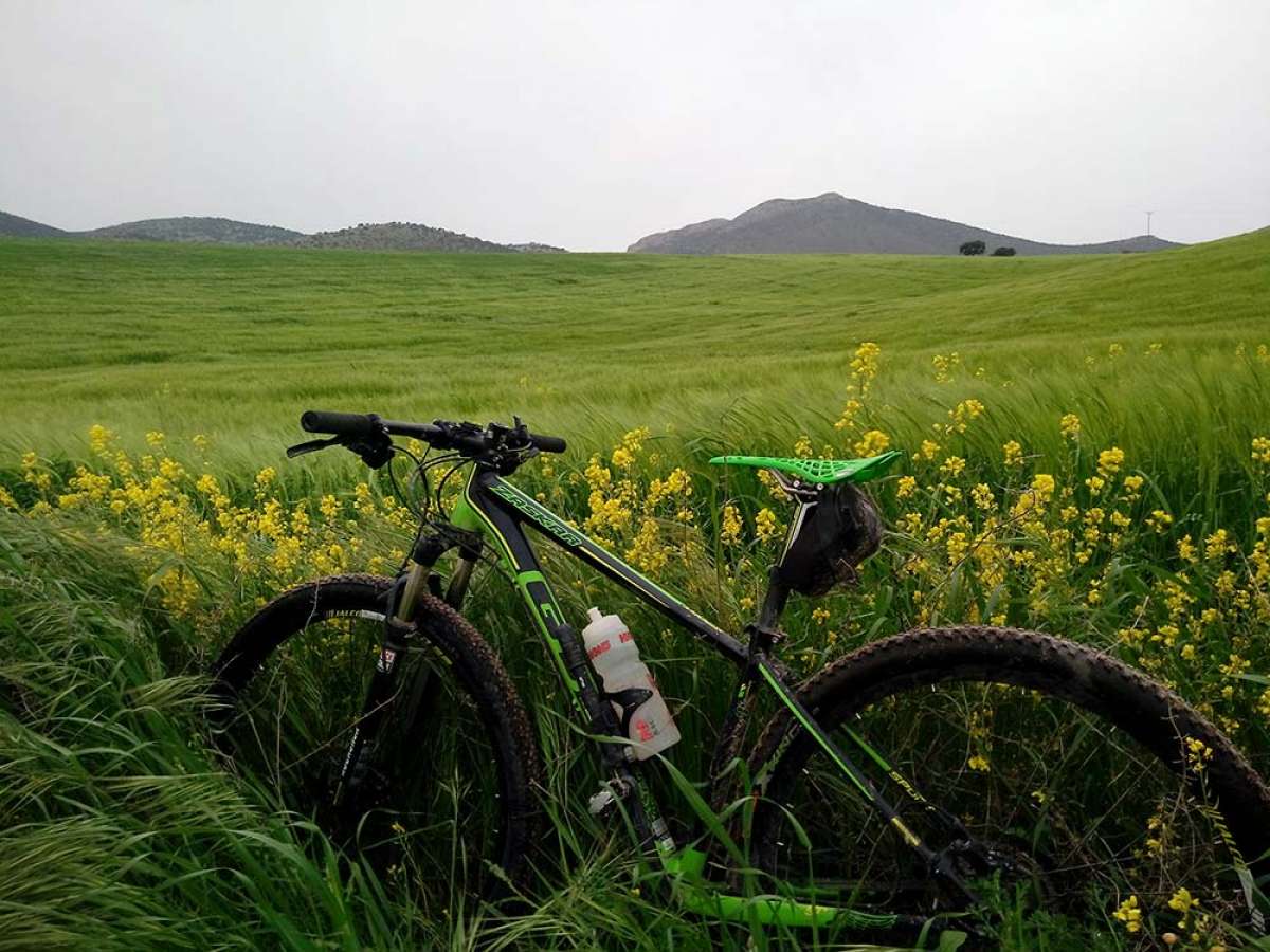 La foto del día en TodoMountainBike: "Cortijo de Los Almendros"