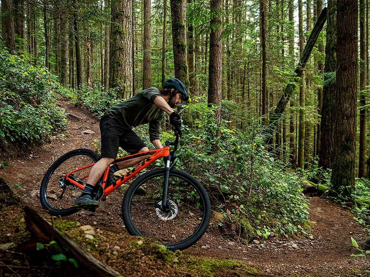 En TodoMountainBike: Diez bicicletas de montaña económicas pero de buena calidad para hacer el mejor regalo de Navidad