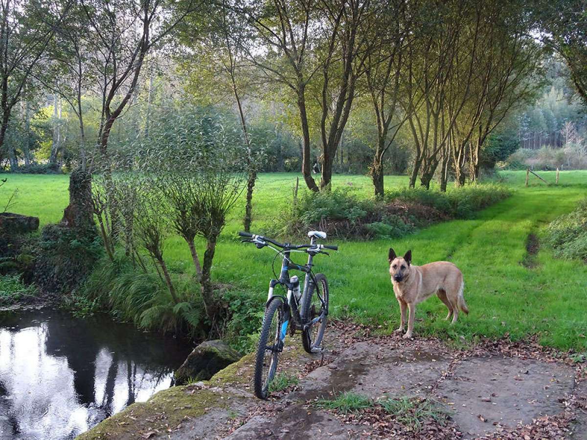 En TodoMountainBike: La foto del día en TodoMountainBike: 'Fieles compañeras'