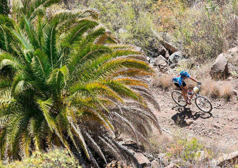 En TodoMountainBike: 600 participantes listos para afrontar la III Transgrancanaria Bike