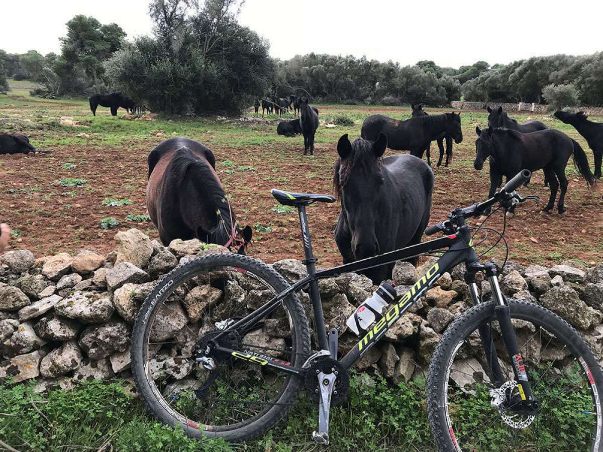 En TodoMountainBike: La foto del día en TodoMountainBike: 'Menorca - Camí de Cavalls'