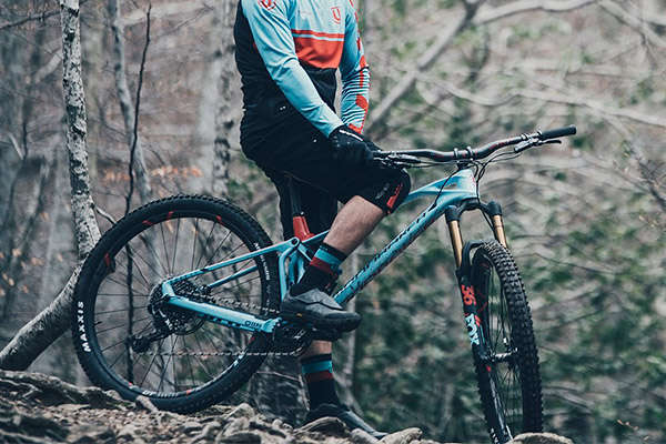 Mondraker Foxy Carbon 29: detalles, montajes y precios