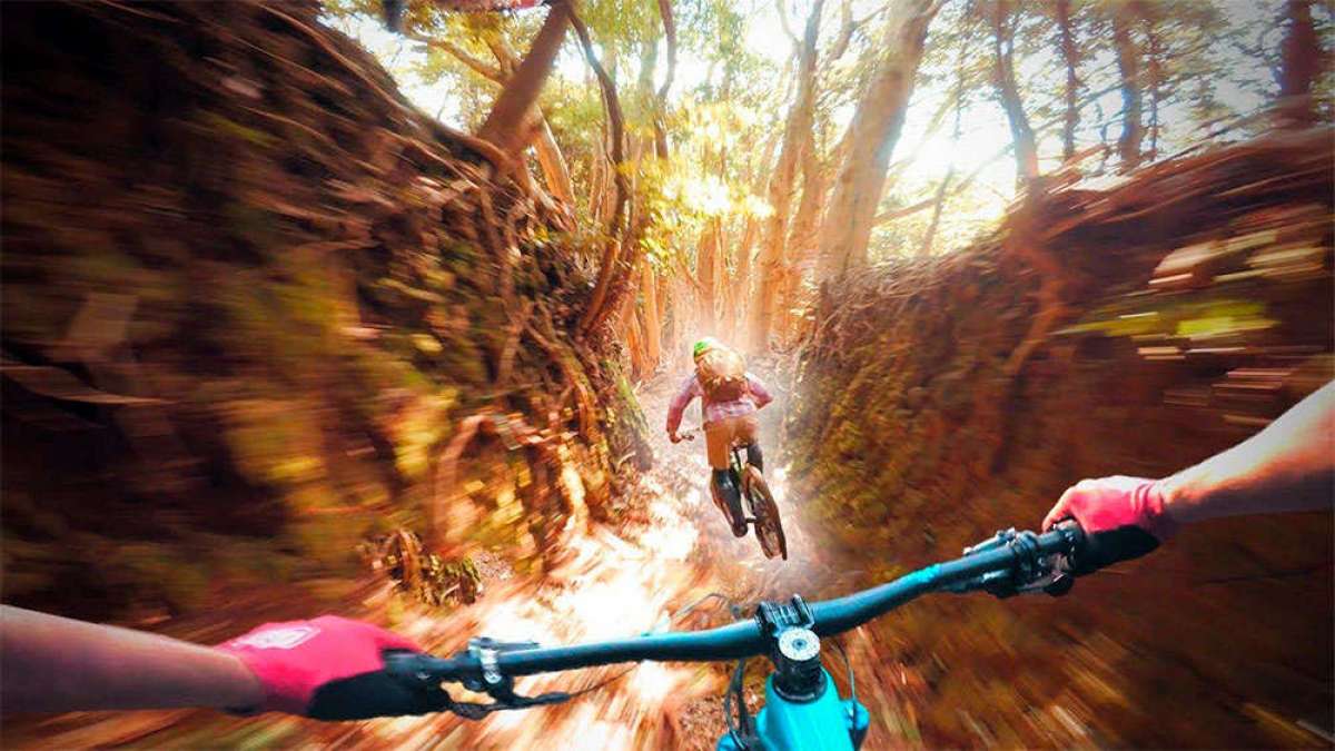 En TodoMountainBike: Rodando por los senderos 'tunelizados' de la Península de Izu, en Japón