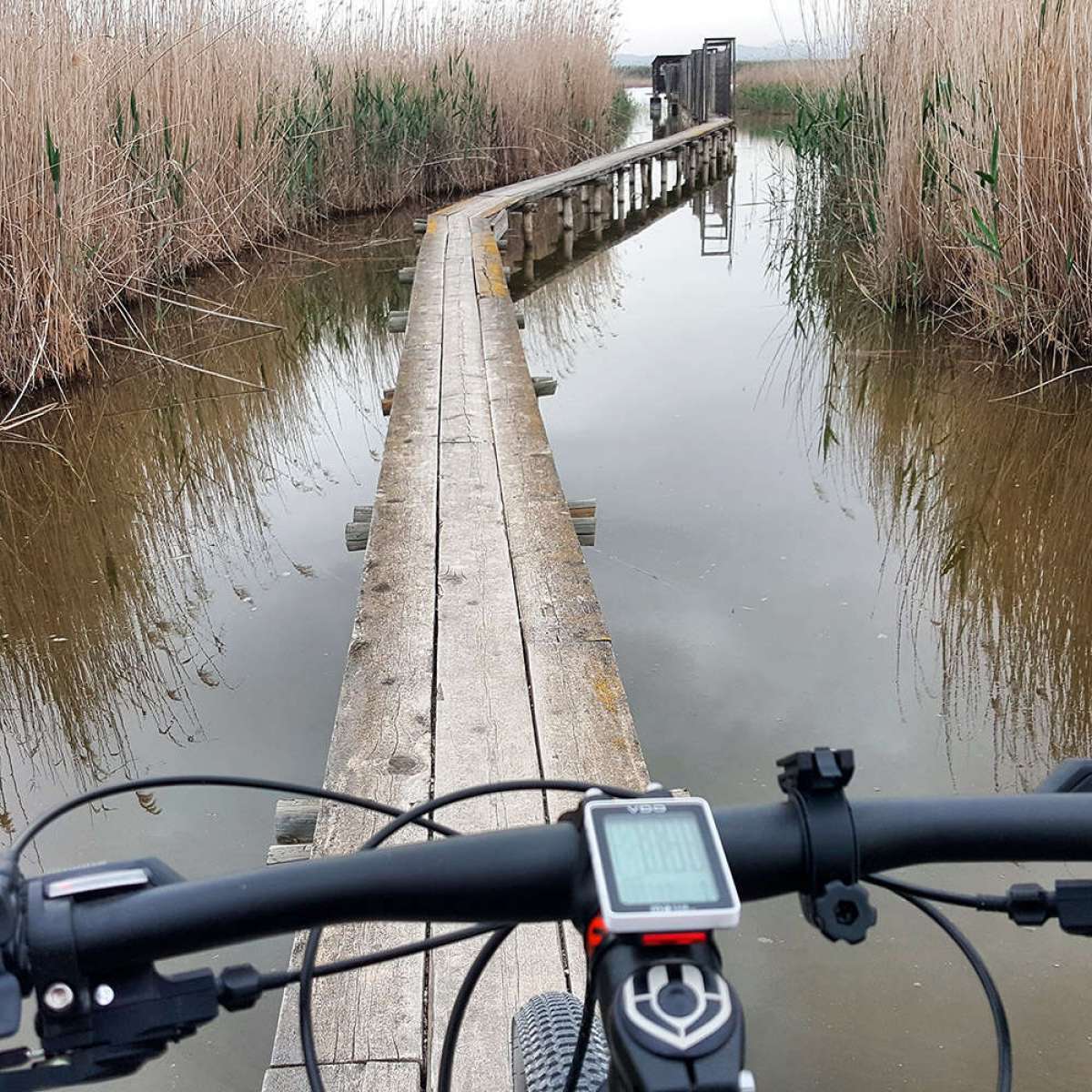 La foto del día en TodoMountainBike: "Entre aguas"