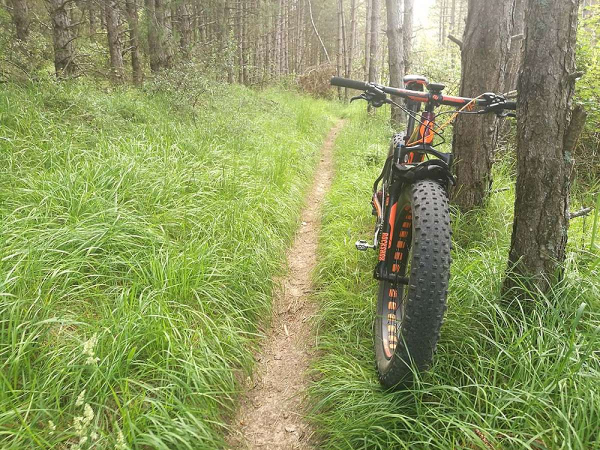 En TodoMountainBike: La foto del día en TodoMountainBike: "La senda del bosque"