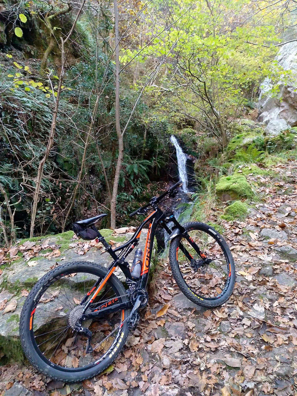 En TodoMountainBike: La foto del día en TodoMountainBike: 'Senda del oso, Asturias'