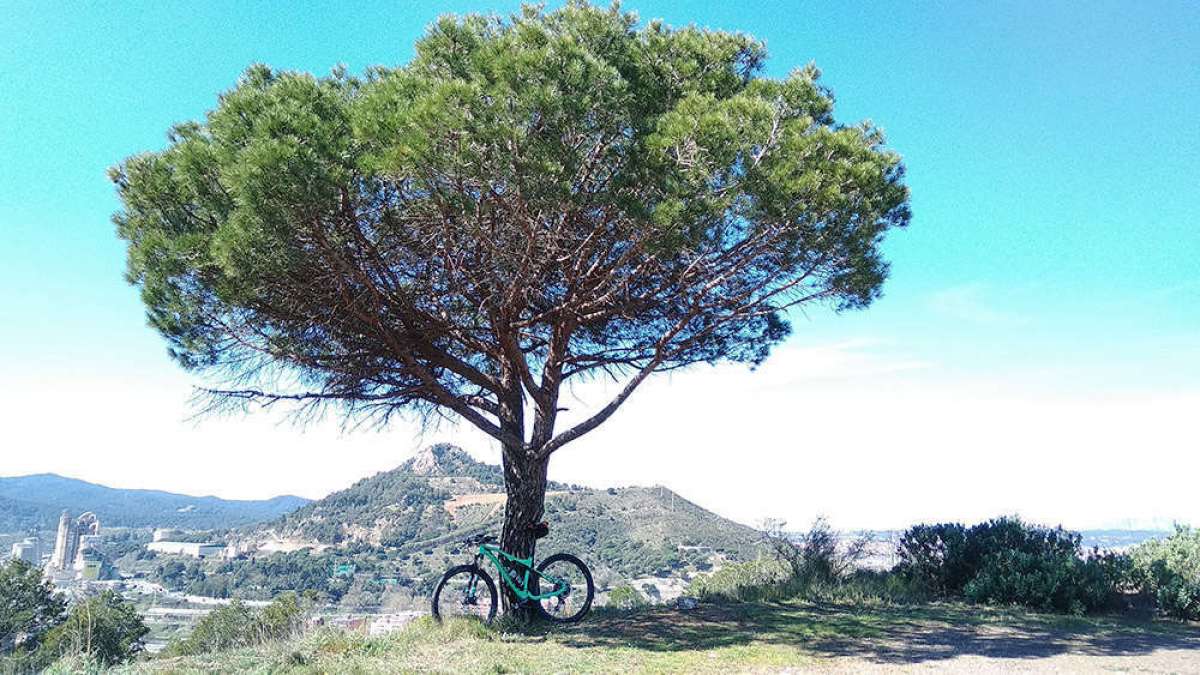 La foto del día en TodoMountainBike: "La bestia está descansando"