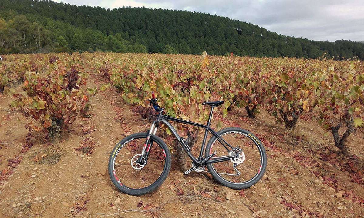 En TodoMountainBike: La foto del día en TodoMountainBike: 'Sierra de las Quilamas'