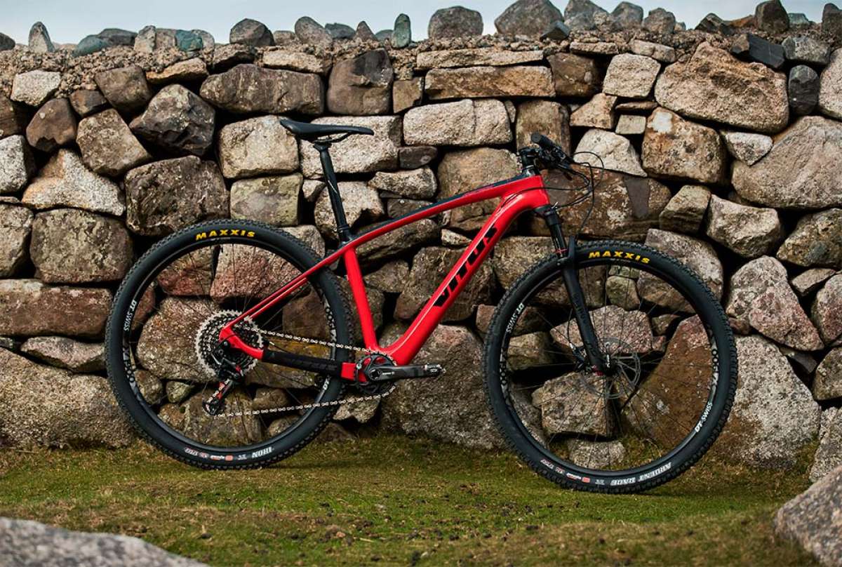 En TodoMountainBike: Vitus Rapide de 2019, una rígida de XC/Maratón lista para competir por un precio muy equilibrado