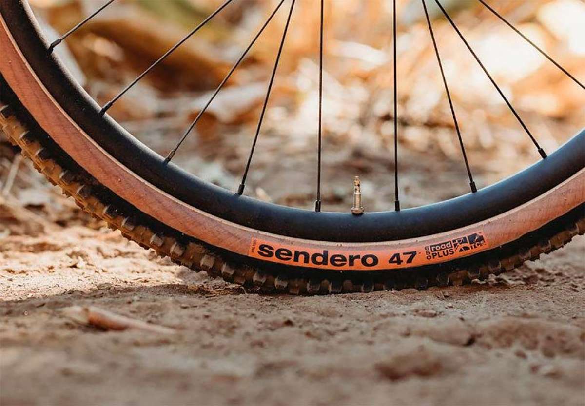 En TodoMountainBike: WTB presenta los Sendero 47 y Venture 47, dos neumáticos de Gravel para conquistar cualquier terreno