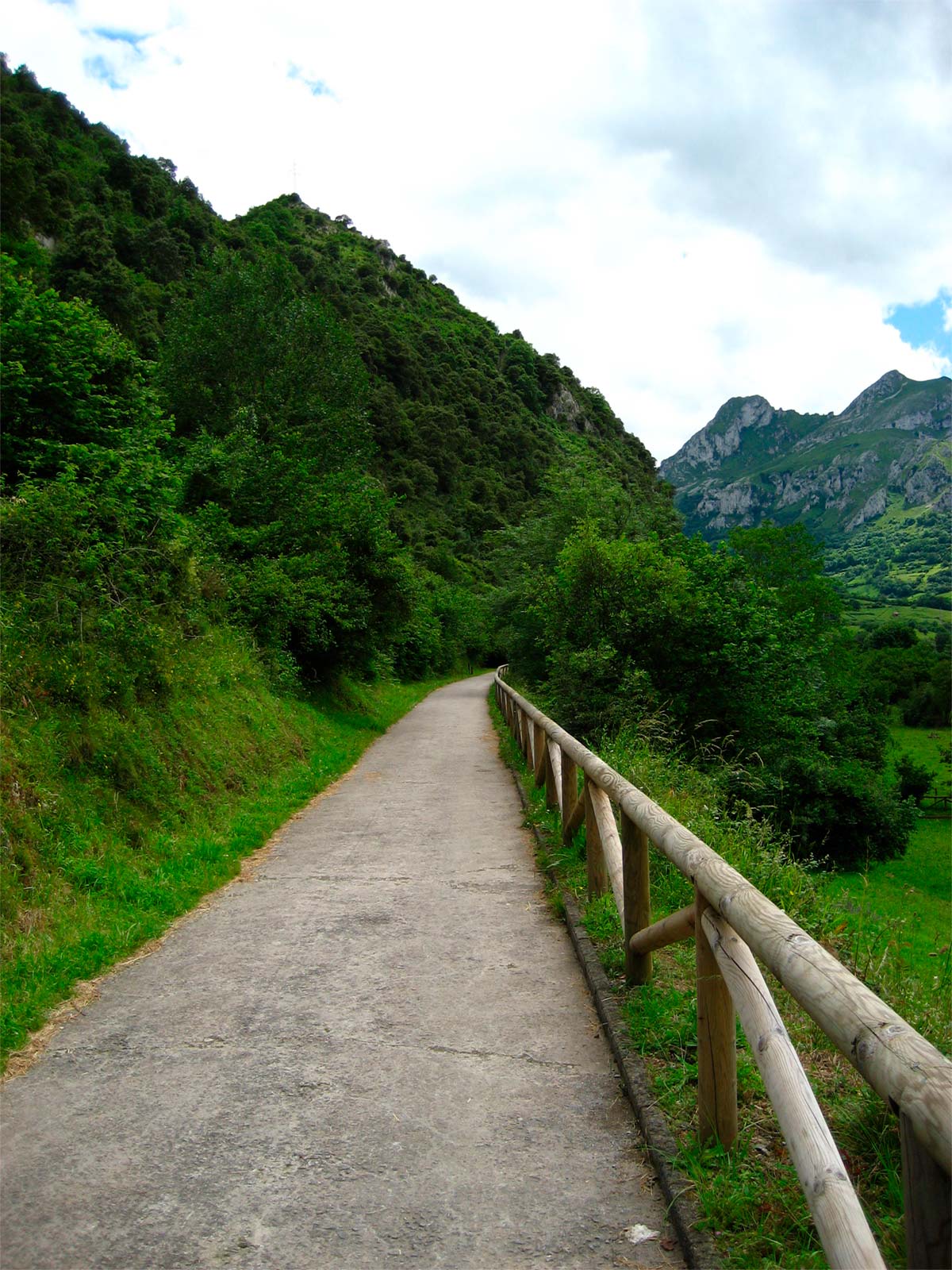 En TodoMountainBike: Muere un ciclista tras caer varios metros al ceder una barandilla defectuosa de la Senda del Oso