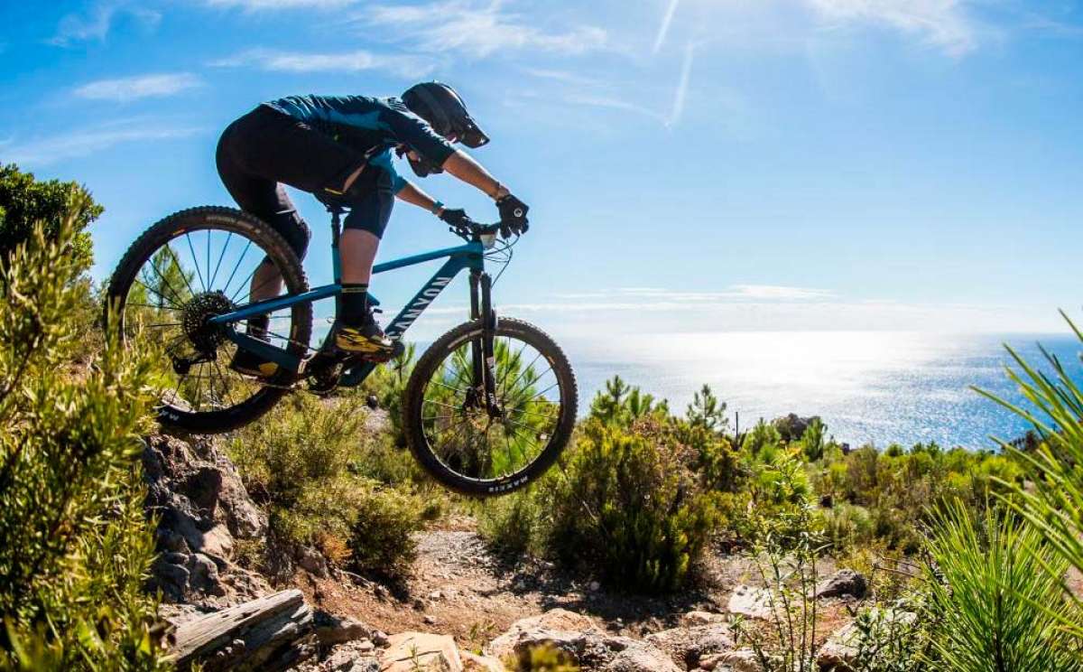 En TodoMountainBike: Canyon Strive 2019: 29 pulgadas, sistema Shapeshifter renovado, geometría actualizada y más