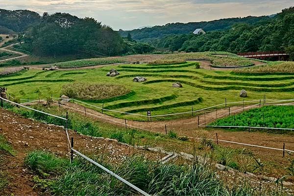 Sergio Mantecón publica las primeras imágenes del circuito olímpico de Tokio 2020