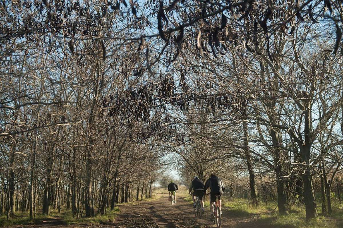 En TodoMountainBike: Cómo mantenerse en forma sobre la bicicleta a partir de los 40 años