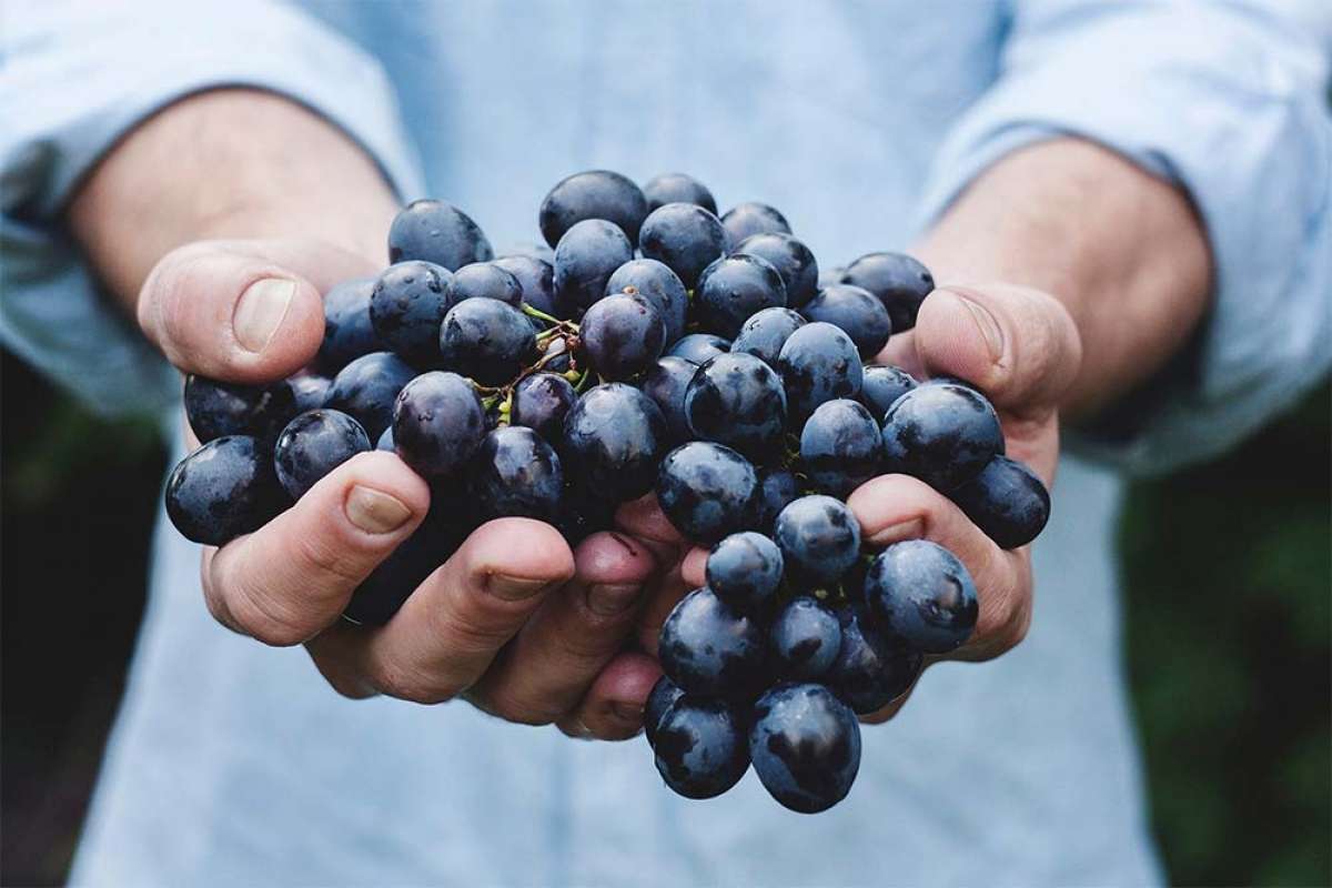 En TodoMountainBike: Cinco frutas para obtener energía rápida