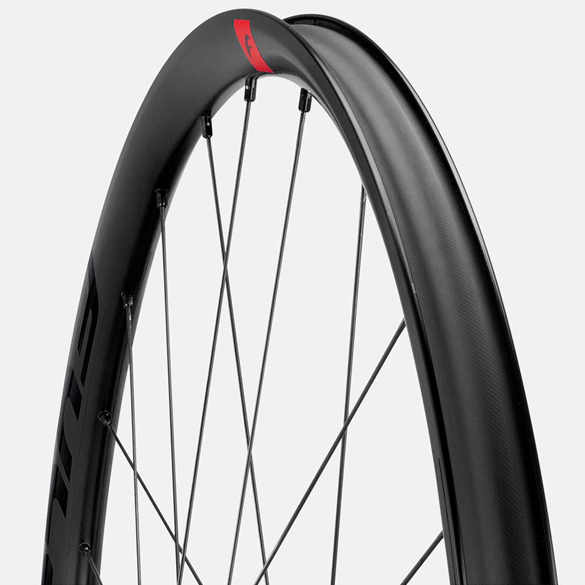 En TodoMountainBike: Fulcrum Rapid Red 5 DB, las primeras ruedas de la marca destinadas a bicis de Gravel
