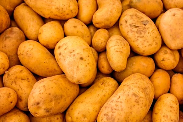 Qué es el índice glucémico de los alimentos y por qué es importante en la nutrición de un deportista