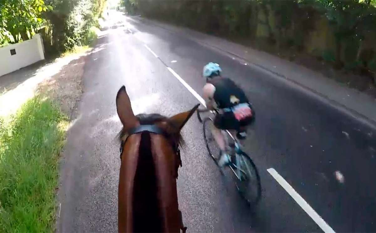 Sanción económica y expulsión de por vida para un ciclista que adelantó imprudentemente a un jinete y su caballo