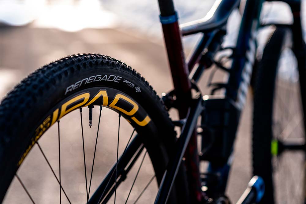 En TodoMountainBike: La Specialized S-Works Epic de Annika Langvad para la Absa Cape Epic 2019