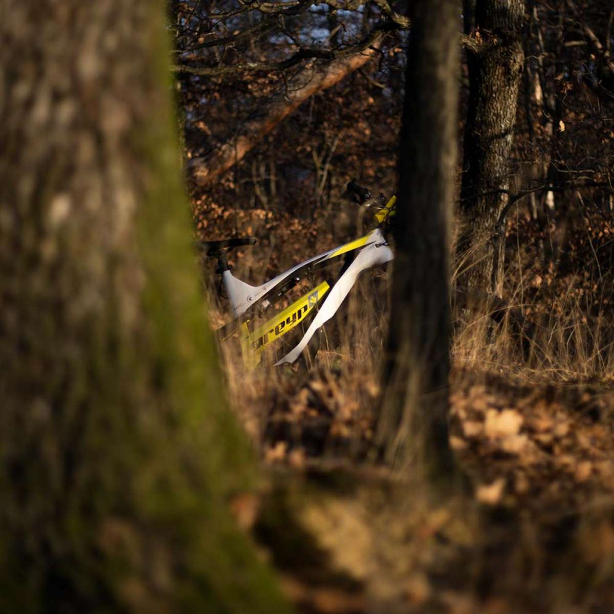 Greyp Bikes prepara el lanzamiento de una interesante e-MTB de Trail